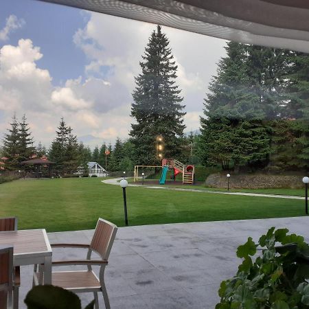 Pensiunea Constantin Ranca Luaran gambar