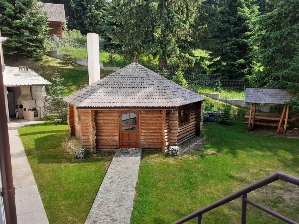 Pensiunea Constantin Ranca Luaran gambar